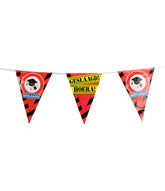 Geslaagd Slingers Verkeersbord 10m